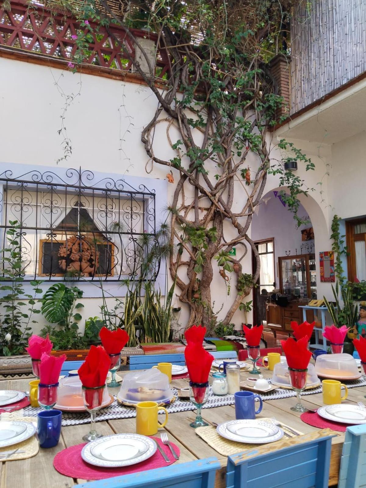 El Diablo Y La Sandia B&B Oaxaca المظهر الخارجي الصورة