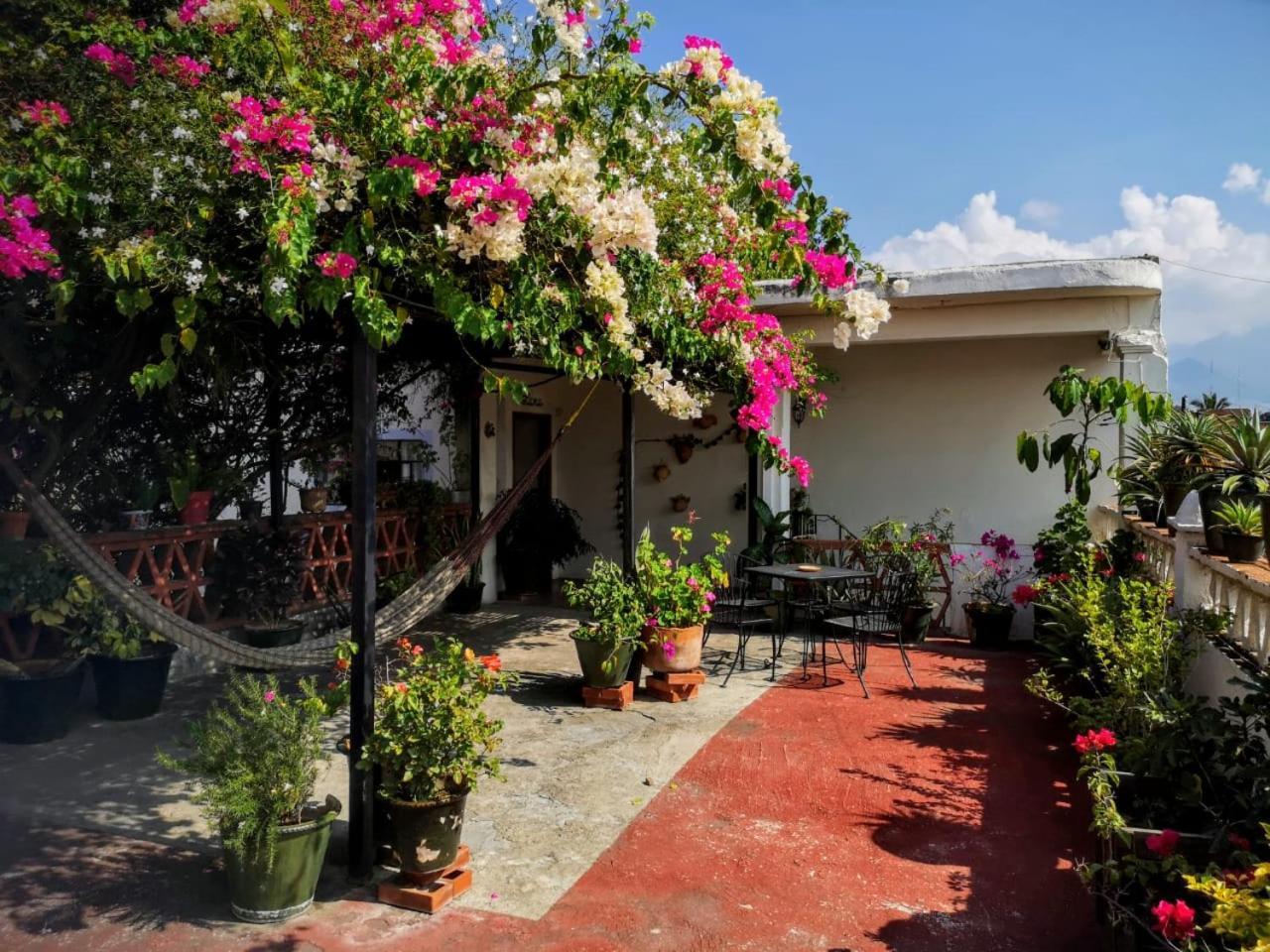 El Diablo Y La Sandia B&B Oaxaca المظهر الخارجي الصورة